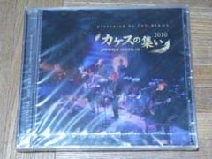 JAYWALK カケスの集い 2010 未開封