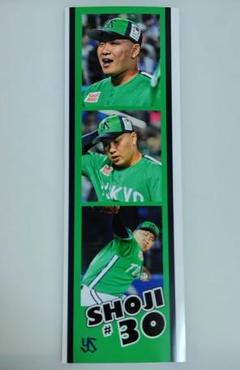 ヤクルトスワローズ ハーフステッカー 荘司宏太選手