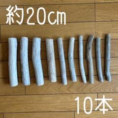 ◾️約20㎝◾️10本◾️まとめ売り◾️流木◾️夏休みの工作◾️インテリア◾️雑貨◾️木工◾️工作