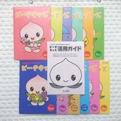 しちだ ピーチキッズ 右脳を育てるPOPキッズ 七田式 1年分 by メルカリ