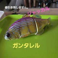 2025年最新】ガンタレルの人気アイテム - メルカリ