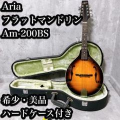 希少・美品】Aria フラットマンドリン Am-200 BS ハードケース