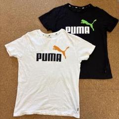 PUMA Tシャツ　2枚セット