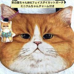 竜そば様 BIGダイカットポーチ3点Aセットコヤン