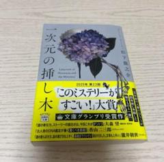 一次元の挿し木 美品