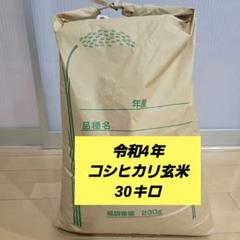 2025年最新】玄米 30Kg 令和4年の人気アイテム - メルカリ