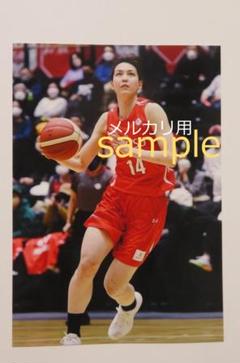 Amazon.co.jp: Wリーグ アクスタ トレカ セット 田中真美子 選手