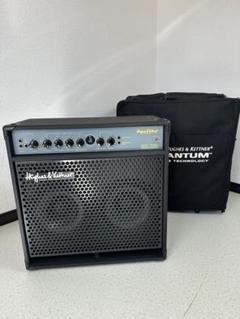 希少【説明文必須確認】値下げ不可 ケース付き EDEN WT800