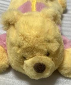 ディズニー プーさん Plush Pencase 未使用