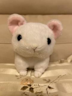 北海道 黒岳7合目 MEMORY ぬいぐるみ ナキウサギ 兎 うさぎ