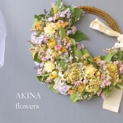 ハニークリームのハーフリース 約25センチ お値下げ∩^ω^∩