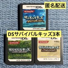 DS サバイバルキッズ 3本セット ソフトのみ