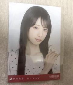 乃木坂46 矢田萌華 真夏の全国ツアー2025 ドット ヨリ 生写真