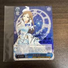 新田美波・SP