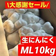 大感謝セール】新物 青森県産 生にんにく ML 10kg 福地ホワイト