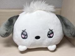 ポチャッコ ぬいぐるみ ドンキ