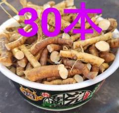 本日限り特価！岩手県産　天然葉わさび苗 100本 根付き 7367_1.jpg