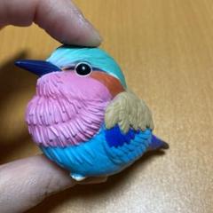 2025年最新】ライラックニシブッポウソウの人気アイテム - メルカリ