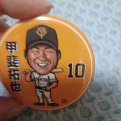 読売ジャイアンツ　甲斐拓也　缶バッジ　アクキー　ボンフィン　3点セット 甲斐拓也 10】 読売ジャイアンツ 缶バッジ - メルカリ