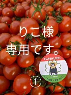 熊本県八代産ミニトマト