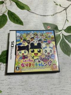ＤＳソフト たまごっちのなりきりチャレンジ