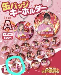 岡田奈々　クリアファイル　ポストカードセット 2025年最新】岡田奈々さんの人気アイテム - メルカリ