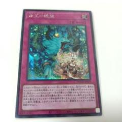 【未使用】命王の螺旋　シク