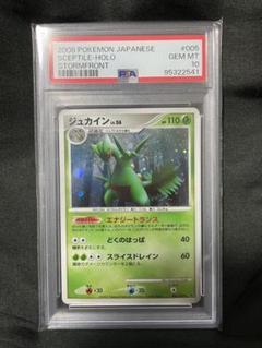 世界49枚 PSA10 ジュカイン LV.56 sceptile 2008 90 世界49枚 PSA10 ジュカイン LV.56 sceptile 2008 90 - メルカリ