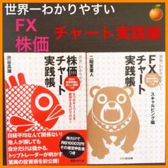 一番売れてる月刊マネー誌ザイが作った「FX」入門改訂第2版