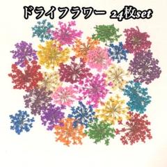 ドライフラワー 押し花 24枚セット 12色 レースフラワー レジン ネイル