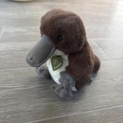 カモノハシ ぬいぐるみ potte