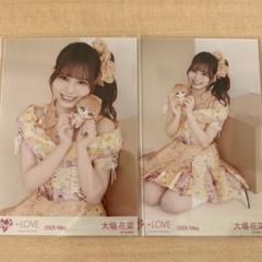 イコラブ　大場花菜　生写真　直筆　サイン　モーリー　ピンキー　ぬいぐるみ イコラブ 大場花菜 生写真 直筆 サイン モーリー ピンキー