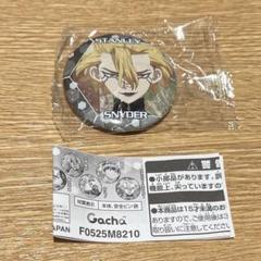 dr.stone ドクスト　スタンリー　特典　ミニフォト　缶バッジ　セット Dr.STONE トレーディングミニキャラ缶バッジ 温泉ver.(BOX