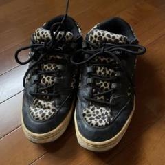 m48466062470_1.jpg?1733727653