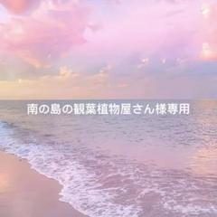 straykids リービット ぬいぐるみ カバー Amazon.co.jp: Stray Kids 抱きぬいぐるみ リービット : おもちゃ