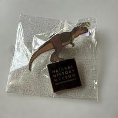 未使用　Natural History Museum ティラノザウルス　ピンズ