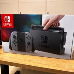 Nintendo Switch グレー 本体 セット ※コントローラー欠品