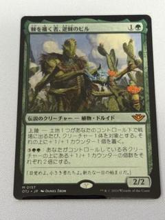 MTG　棘を播く者、逆棘のビル　日本語版　4枚セット MTG 棘を播く者 逆棘のビル/Bristly Bill Spine Sower/日本語