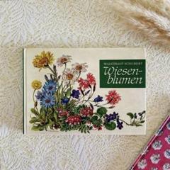 洋書　古書　2点　ドイツ語の動植物図鑑と植物図鑑 洋書 古書 ドイツ語の植物図鑑 草原植物 インテリアにもおすすめ