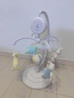 ファミリア✨メリー
