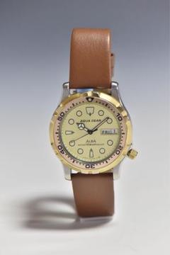 2025年最新】seiko alba aqua gearの人気アイテム - メルカリ