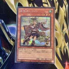 遊戯王 PSA10  霊使い シークレットレア スターチップ 絵違い コンプ PSA10 霊使い シークレットレア 決闘者の王国 スターチップ 絵