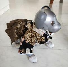 aibo 着物袴と被布飾り aiboの晴れ着づくり | My story with aibo～私とaiboの物語