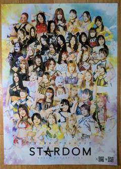 スターダム/STARDOM　ファイブスターグランプリ2025 フライヤーのサムネイル
