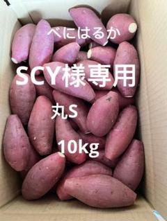 2025年最新】干し芋 訳あり 10キロの人気アイテム - メルカリ