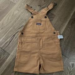 patagonia オーバーオール