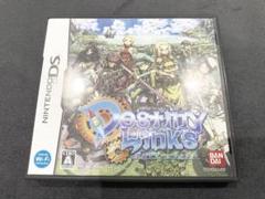 【レア】『デスティニーリンクス』DS