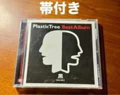 15日まで限定特価【33枚セット販売】PlasticTree アルバム シングル Amazon.co.jp: □セット出品 CD□ Plastic Tree プラスティック