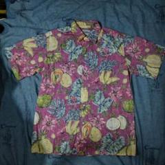 レインスプーナー　reyn spooner TAILOREDIN HAWAII