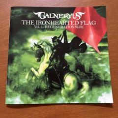 GALNERYUS CD コレクション 16枚セット GALNERYUS CD コレクション 16枚セット
